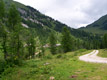 La conca di Malga Clef e sullo sfondo la Sella di B&ograve;ndolo