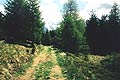 da Monno verso il Pian di Locher