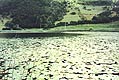 Il Lago d'Ampola