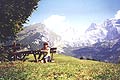 area pic-nic