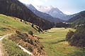 Alta Val di Sole