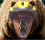 Ecco l'ORSO, se lo conosci lo eviti, se lo eviti non ti uccide!