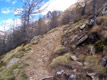 verso la "Grande Radura"