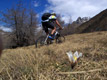 pedalando sulla "Grande Radura"