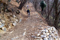 sulle pendici del Monte Rena