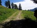 Towards Malga Mezzolo