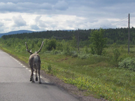 kiruna_0730