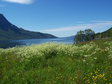 kiruna_0797